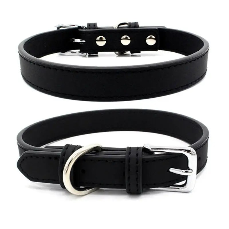 Collier pour Shiba Inu