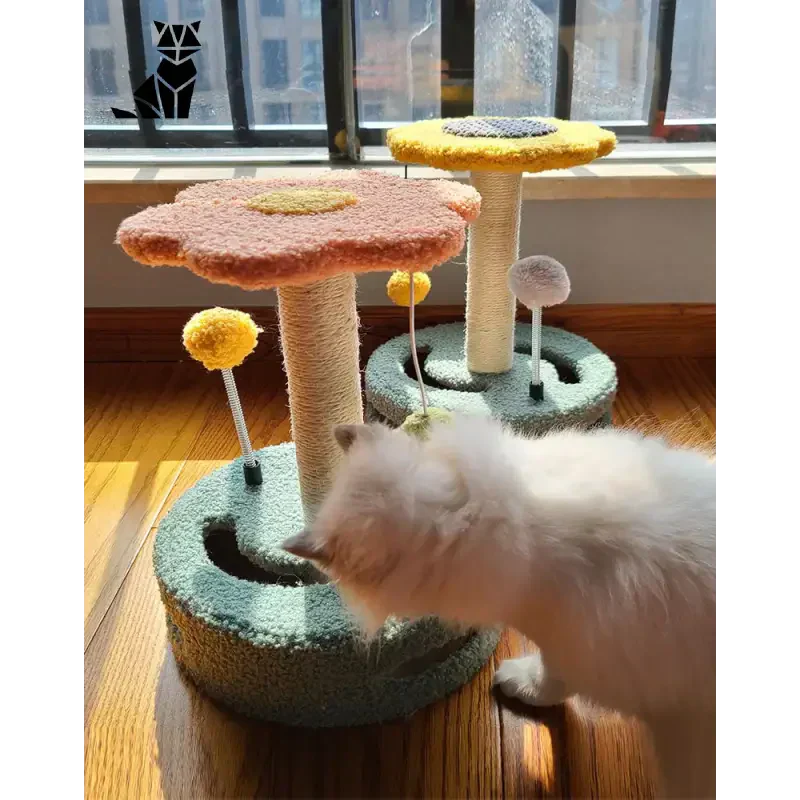 Le chat joue avec le griffoir - Un jouet amusant et utile pour votre animal de compagnie ajoute naturellement la touche amusante