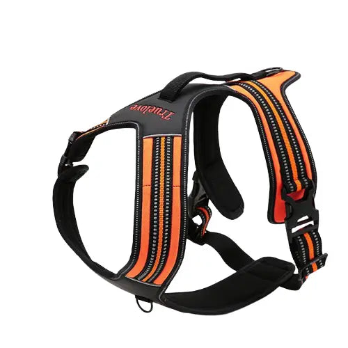 Harnais Truelove Forest