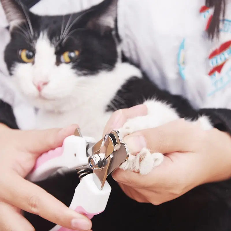 Personne utilisant Essential Pet Tool - Precise Cutting pour couper les poils du chat