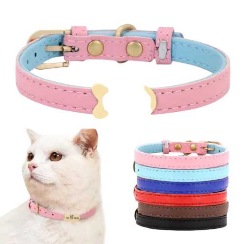 Collier Personnalisé pour Chat avec médaille chien - complète identification et élégance Transparent Background