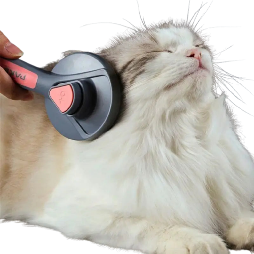 Brosse pour chat | CatBrush™ Transparent Background