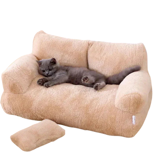 Chat profitant d’un repos luxueux sur le canapé Comfort Sofa for Cats Transparent Background