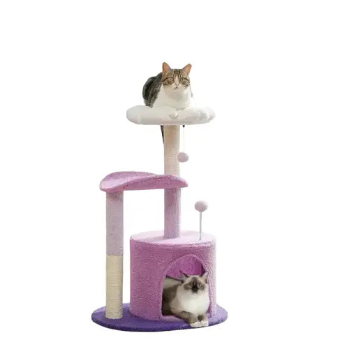 Chat perché sur l’arbre à chat Elegant Oasis Feline en violet élégant Transparent Background