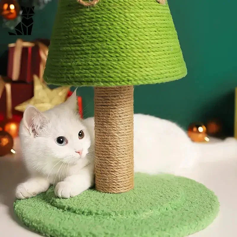 Un chat est assis sur un tapis vert de l’Arbre à Chat Festif