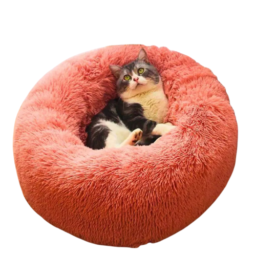 Coussin pour chat ❘ NuageCats™ Transparent Background