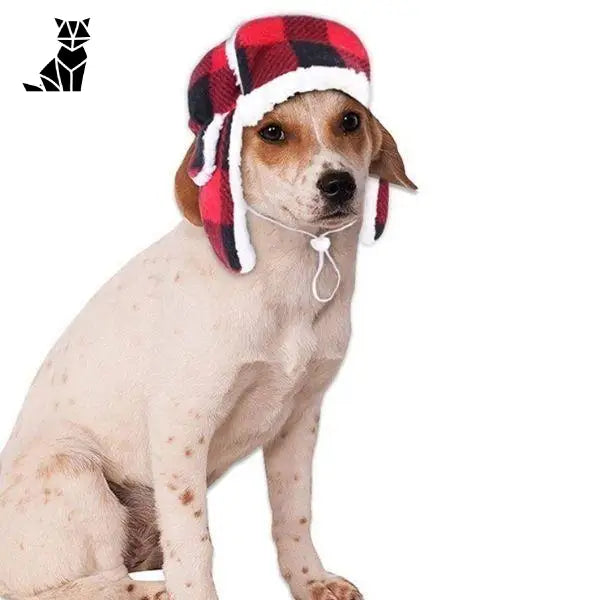 Bonnet pour Chien Québec XL