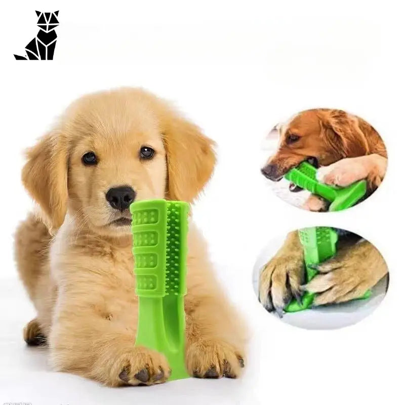 Brosse à dents pour chien Jouet de nettoyage en caoutchouc avec manche vert, jouet à mâcher