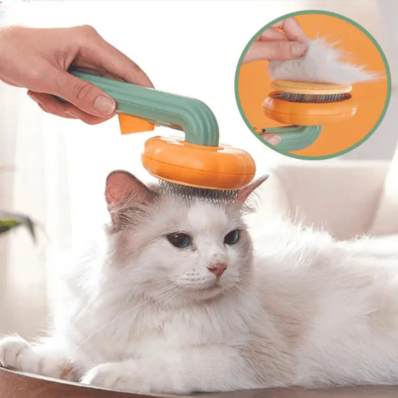 Brosse nettoyante Brushcat pour chat en action - Plus de poils partout !