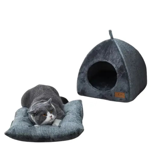 Chat couché dans une cabane à chat confortable, facile à nettoyer, parfait pour se détendre Transparent Background