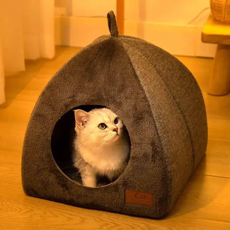 Chat se prélassant dans le lit Cozy Cat Hut posé sur le sol, facile à nettoyer et parfait pour les siestes