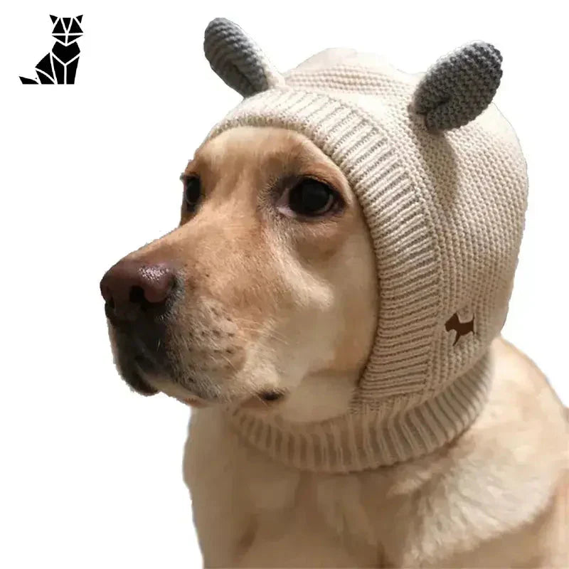 Chien en bonnet tricoté avec cornes profitant des cache-oreilles pour chiens, parfaits pour les oreilles sensibles