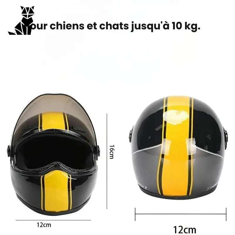 Casque de protection pour chiens et chats - Safe Sorties à Moto