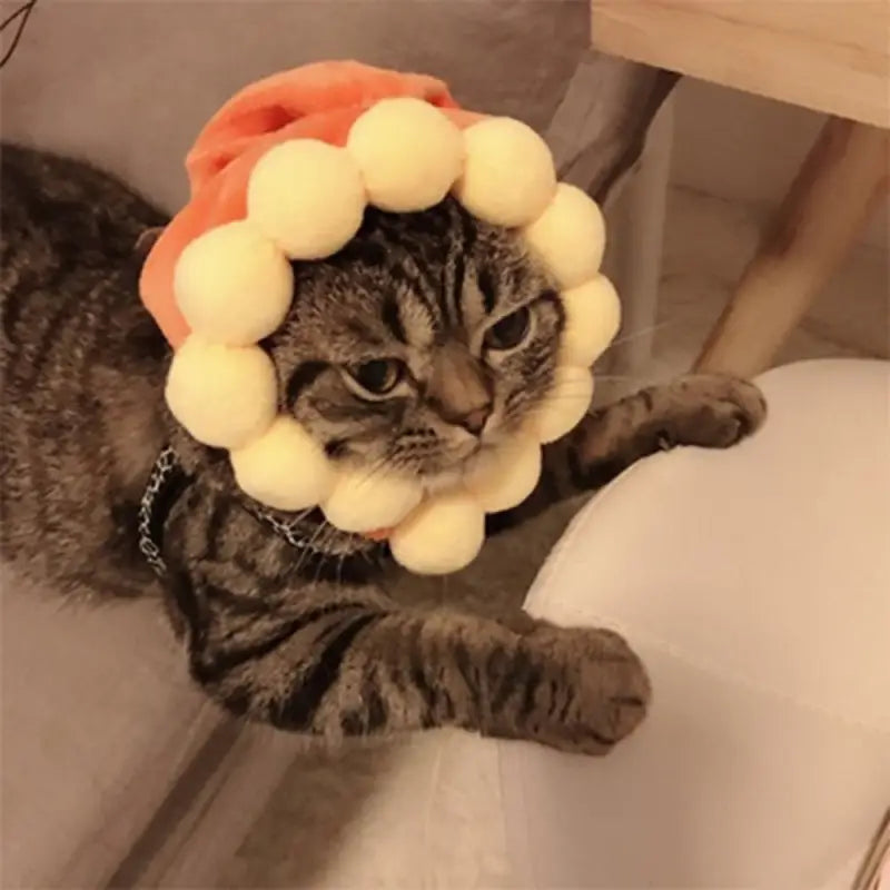 Chapeau pour Chat Tournesol de Printemps