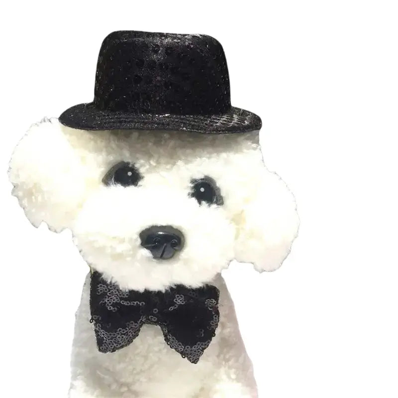 Chapeau pour Chien Noir Cérémonial Transparent Background