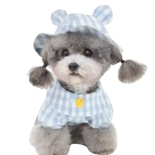 Chapeau pour Chien à Carreaux Vichy & Combinaison Transparent Background