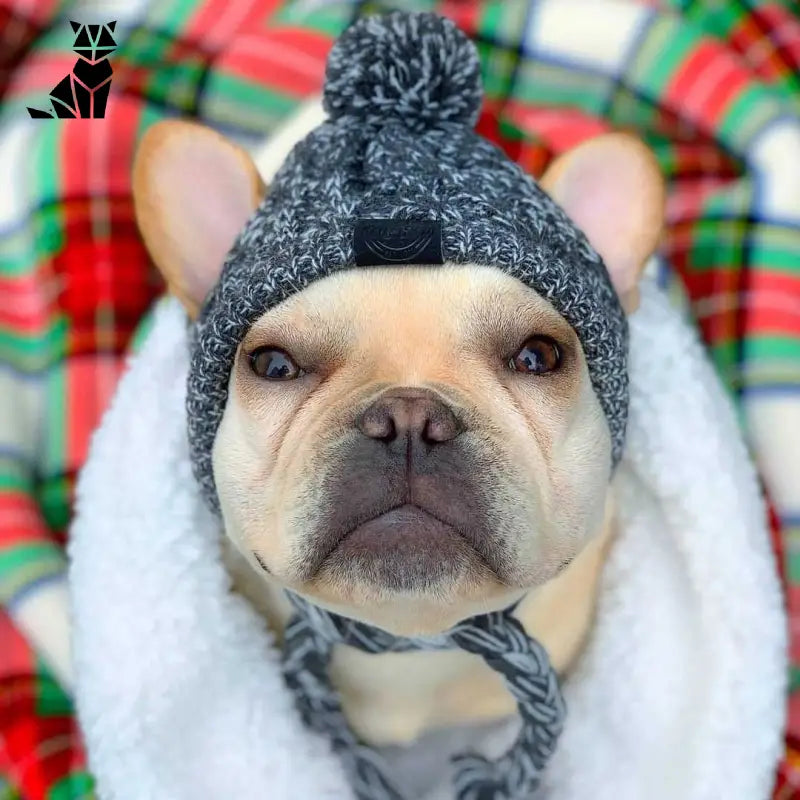 Bonnet pour Chien Style Péruvien au Tricot