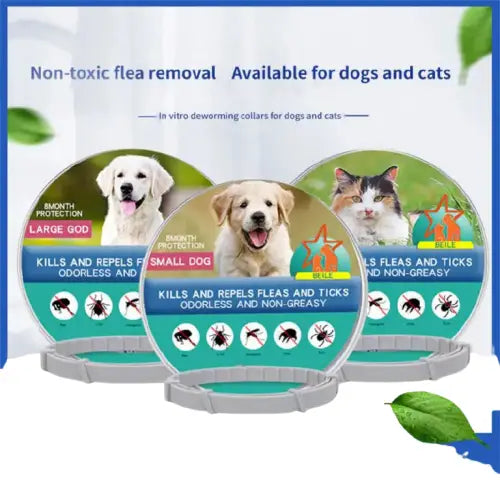 Collier anti-puces pour chien - DVD avec Collier Anti Puce, mettant en scène un chien et un chat Transparent Background