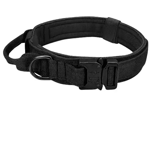 Collier pour Berger Allemand Transparent Background