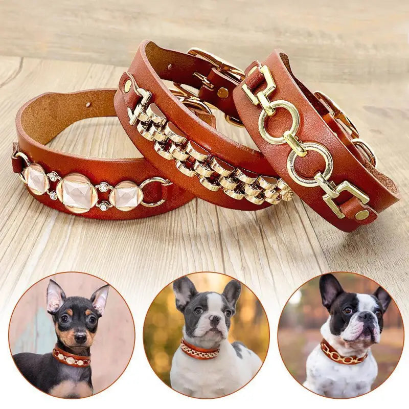 Collier Chien En Cuir Pour Chiots Et Chiens Moyens