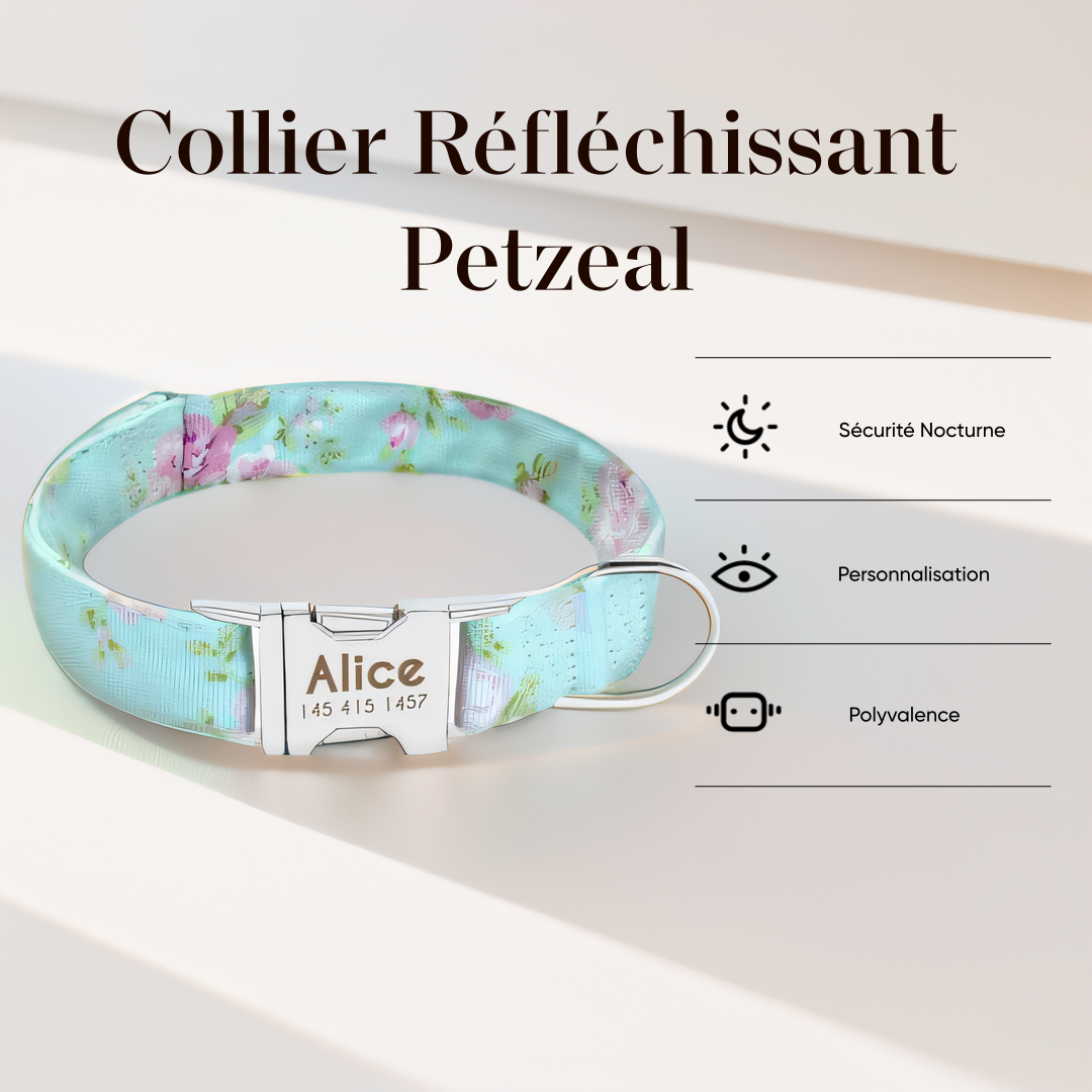 Collier Chien Personnalisable