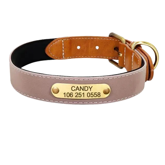 Collier Chien En Cuir Personnalisable Transparent Background