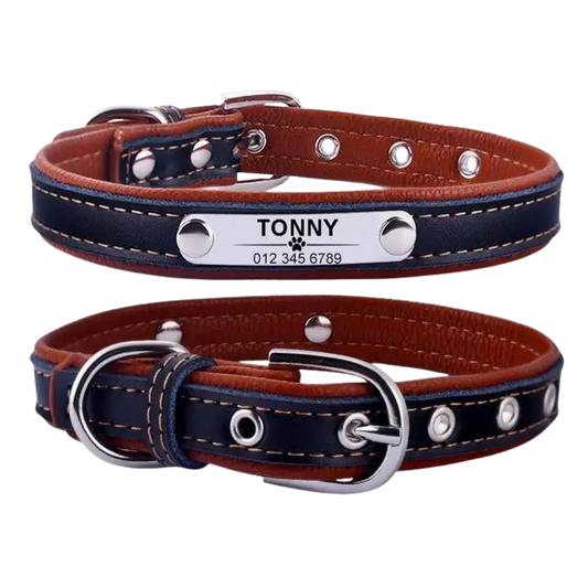 Collier Chien En Cuir Personnalisable Transparent Background
