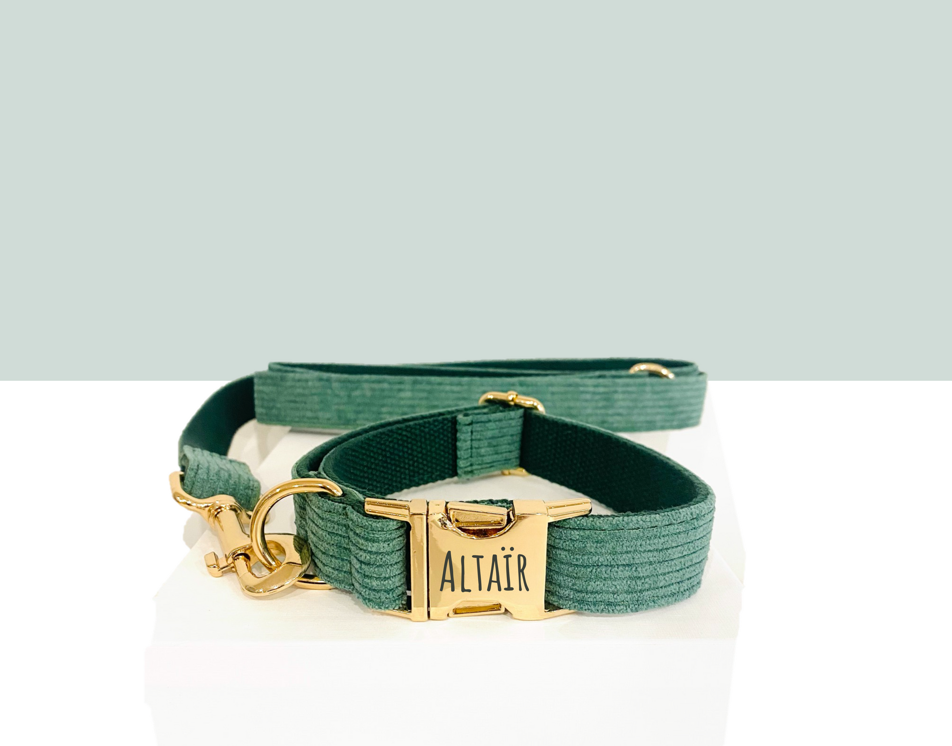 Collier Chien Personnalisé Velours Côtelé Vert