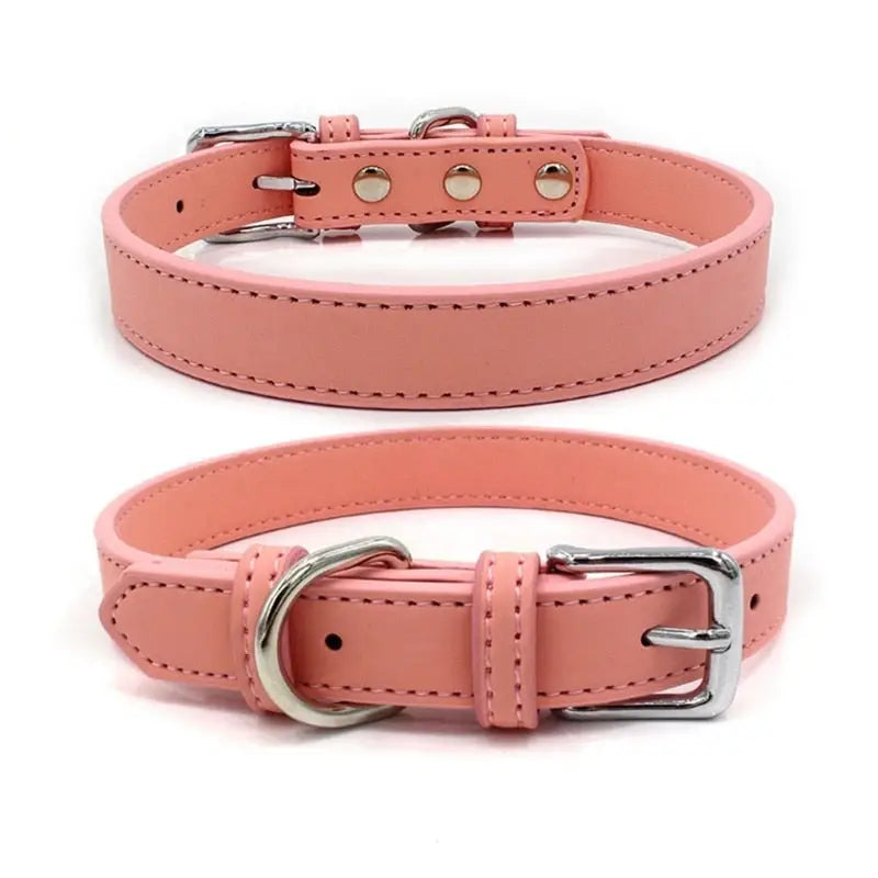 Collier pour Shiba Inu