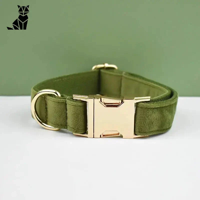 Collier pour chien en velours vert avec boucle dorée - Collier Velours Durable Personnalisé