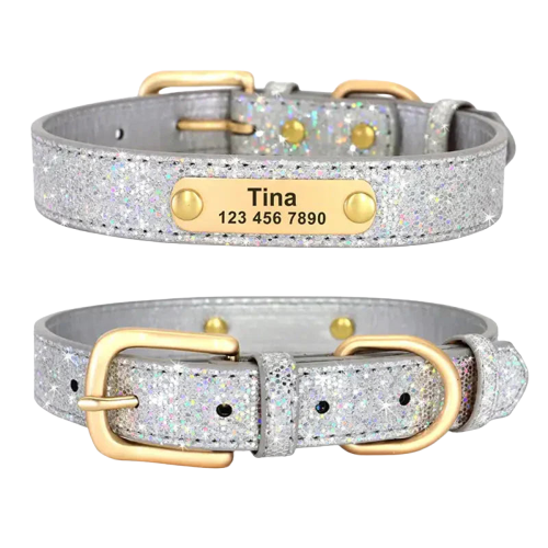 Collier pour Teckel Transparent Background