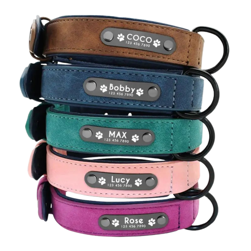 Collier Pour Chien En Cuir Personnalisable Transparent Background