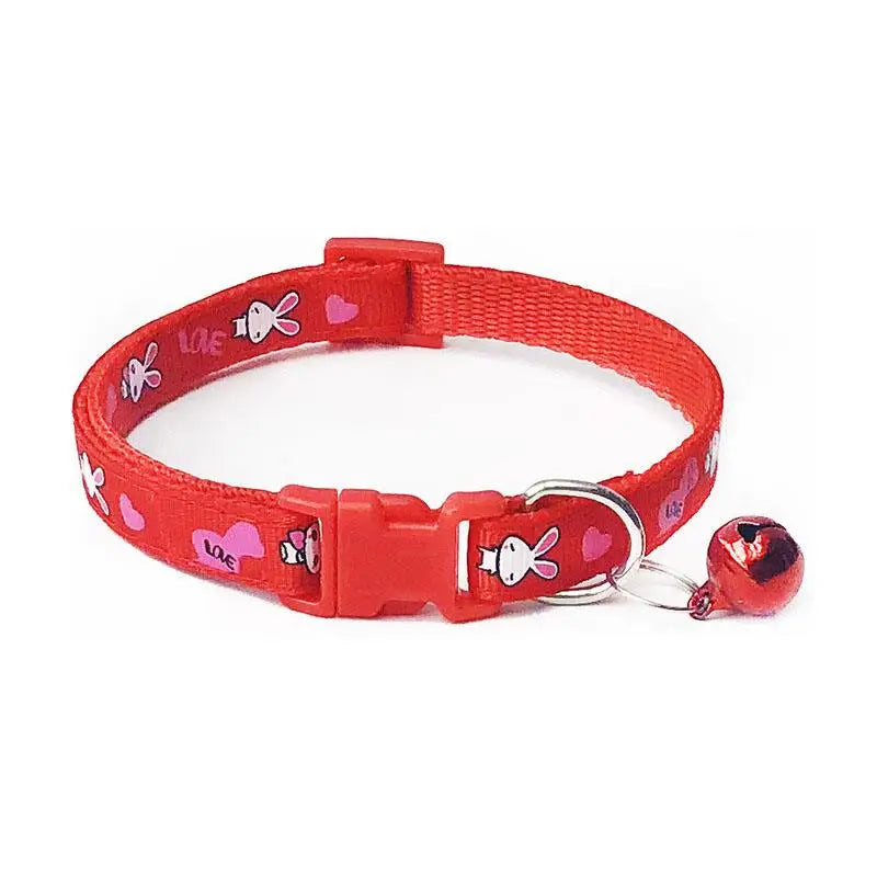 Collier pour Cocker