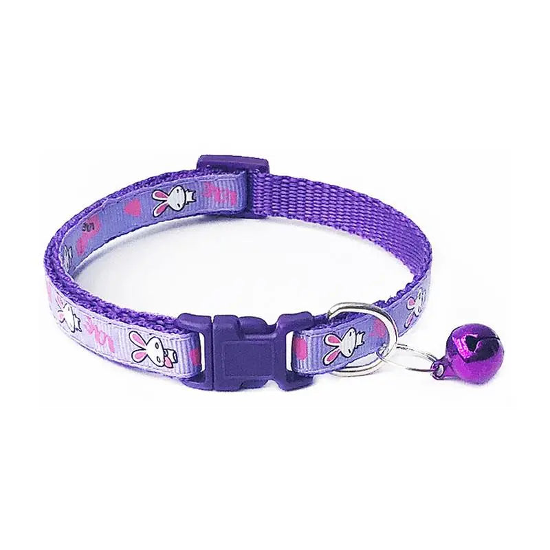 Collier pour Cocker