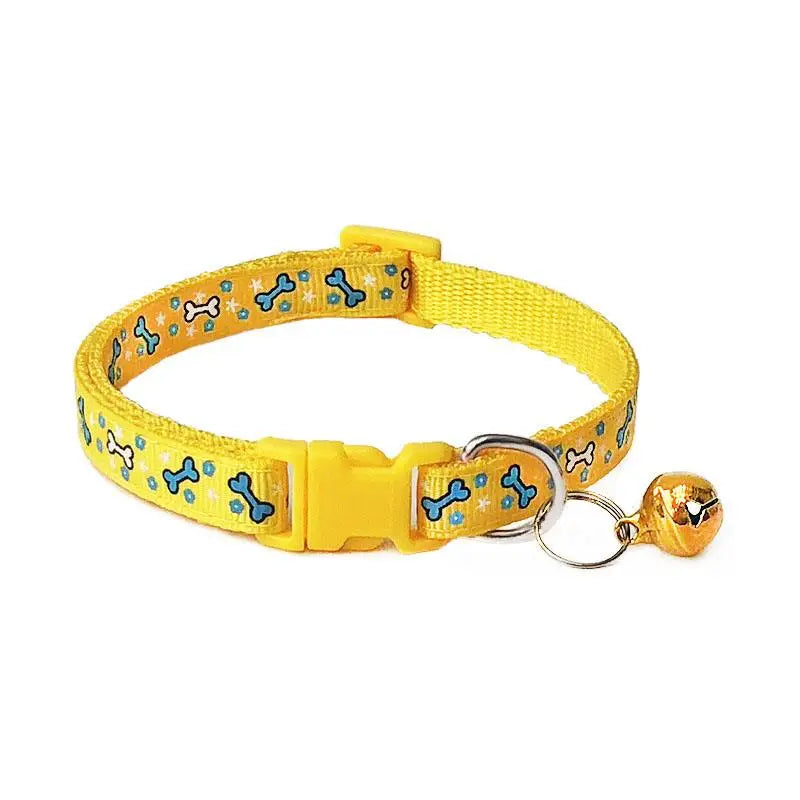 Collier pour Cocker