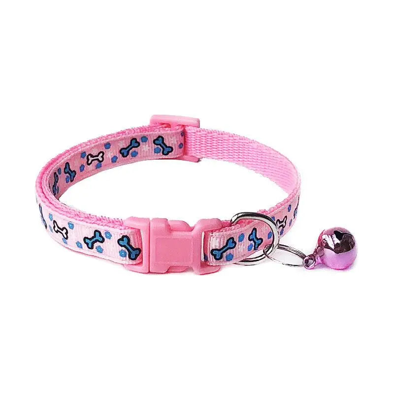 Collier pour Cocker