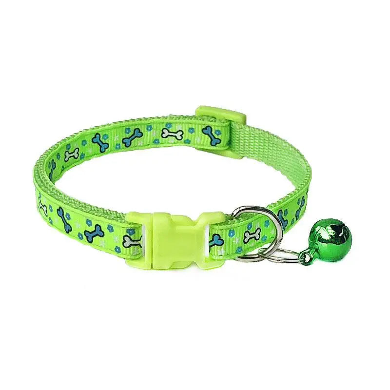 Collier pour Cocker