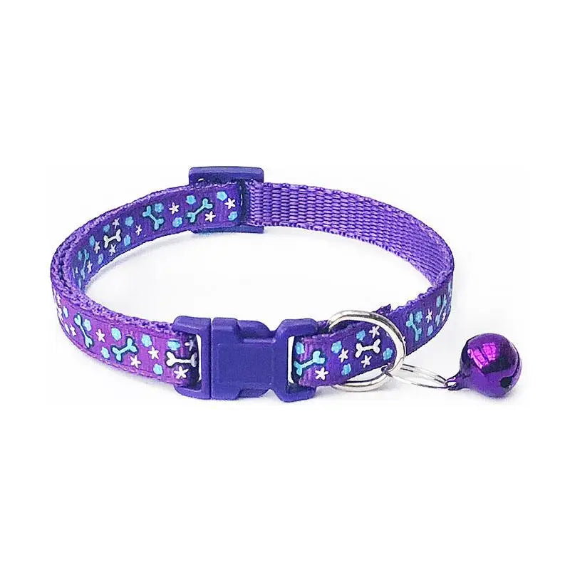 Collier pour Cocker