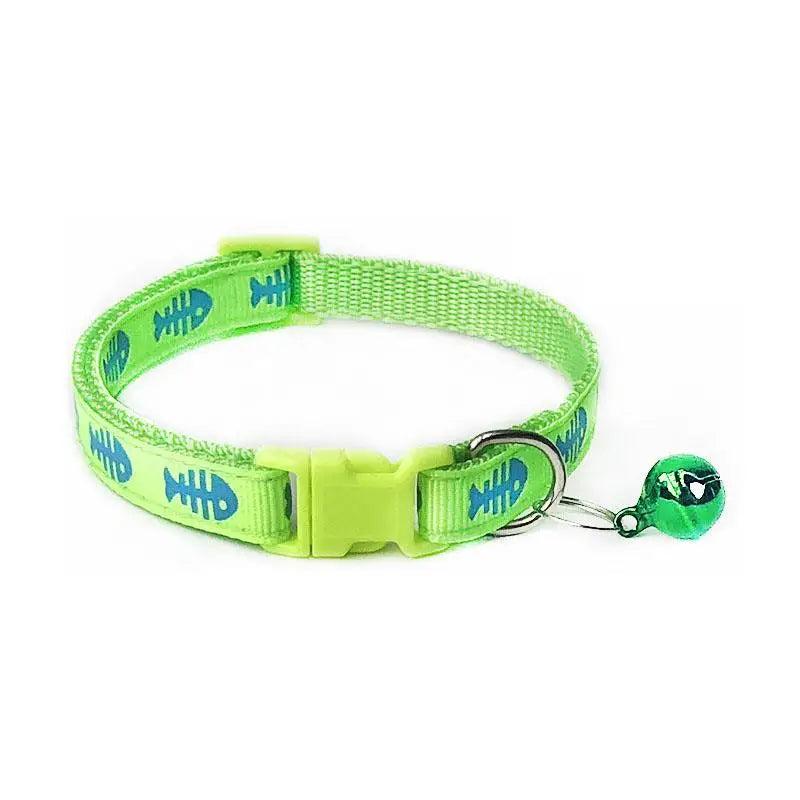 Collier pour Cocker