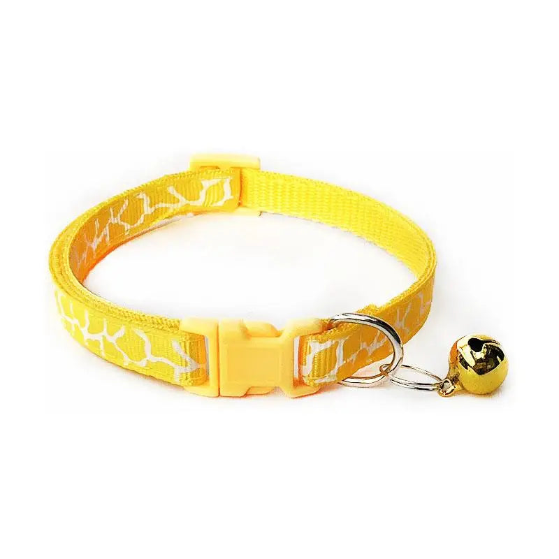 Collier pour Cocker