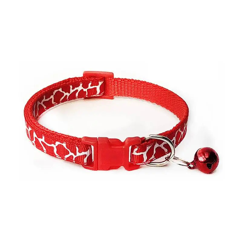 Collier pour Cocker