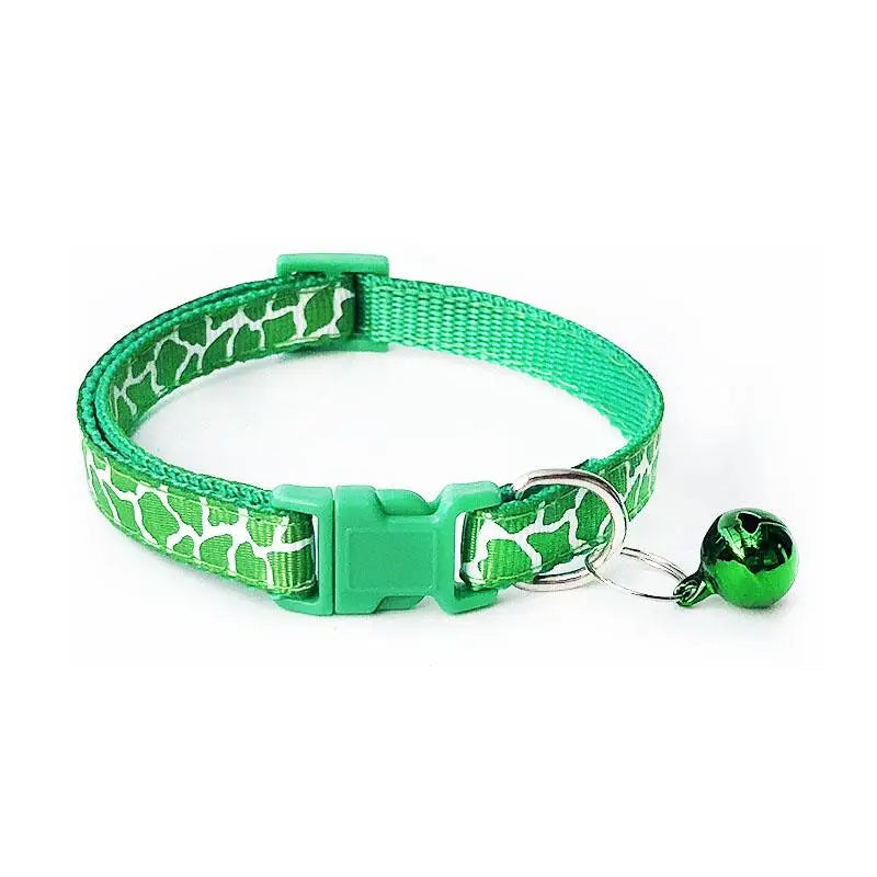 Collier pour Cocker