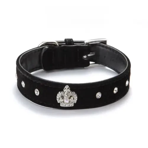 Collier pour Jack Russel