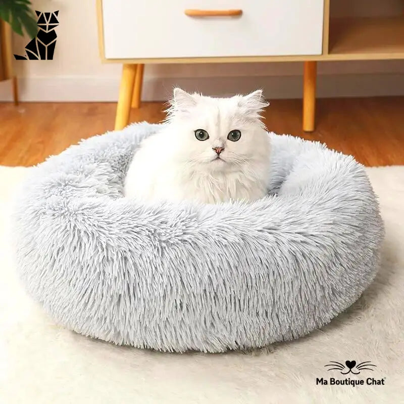 Coussin pour chat ❘ NuageCats™