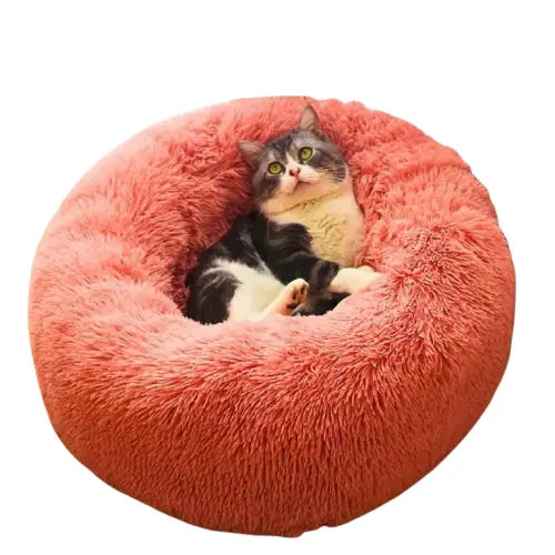 Coussin pour chat ❘ NuageCats™ Transparent Background