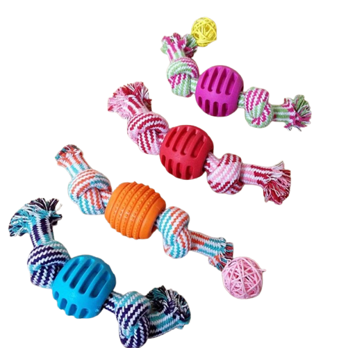 Corde avec balle à mâcher pour chien Transparent Background