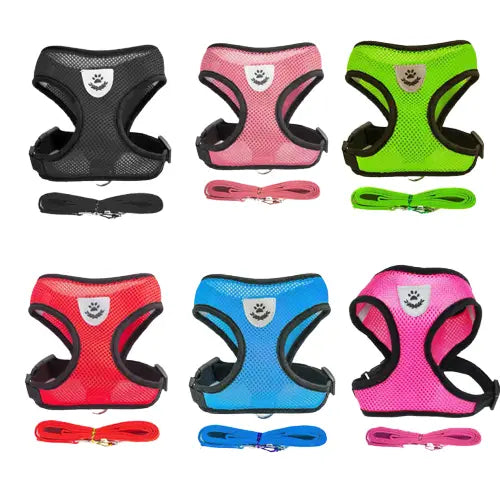 Harnais en nylon pour chat Transparent Background