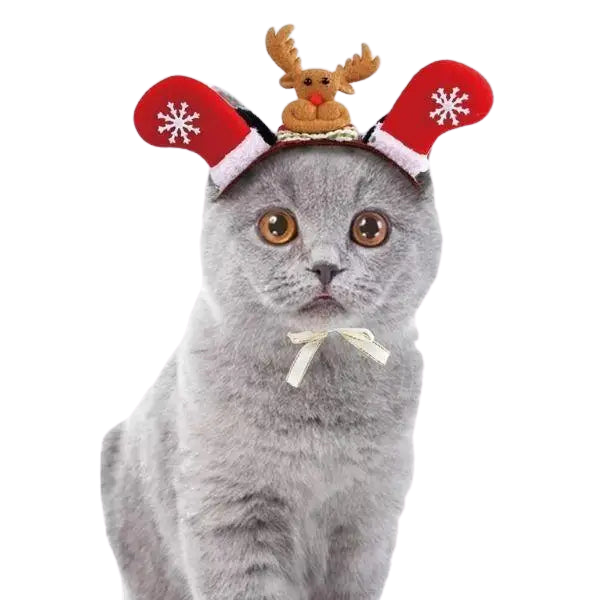 Chapeau pour Chat Fêtes de Noël Transparent Background