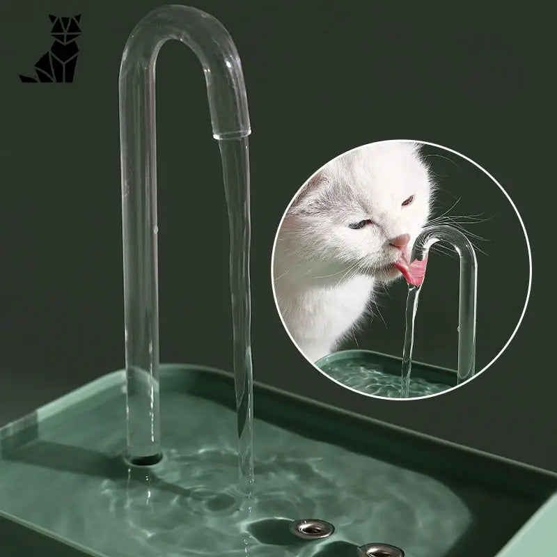 Fontaine à eau pour chat | CatWater™