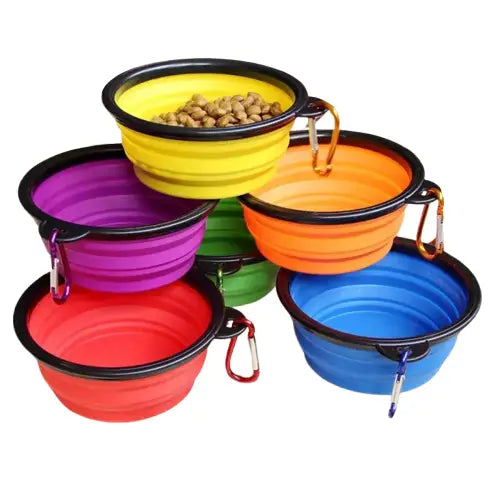 Gamelle Portable Pour Chien Transparent Background